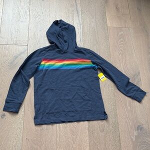 Rainbow Stripe Hoodie